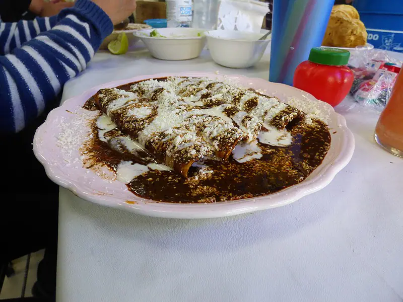 Folded tortillas covered in dark chocolate-chili sauce